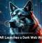 NETGEAR Launches a Dark Web Watchdog